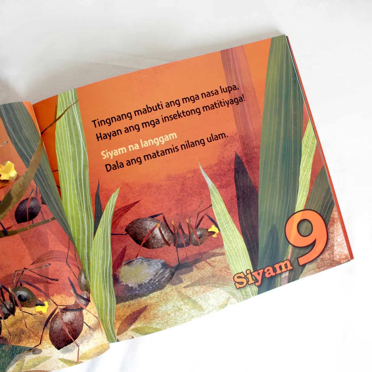 Filipino/English Picture Book - Tagu-Taguan