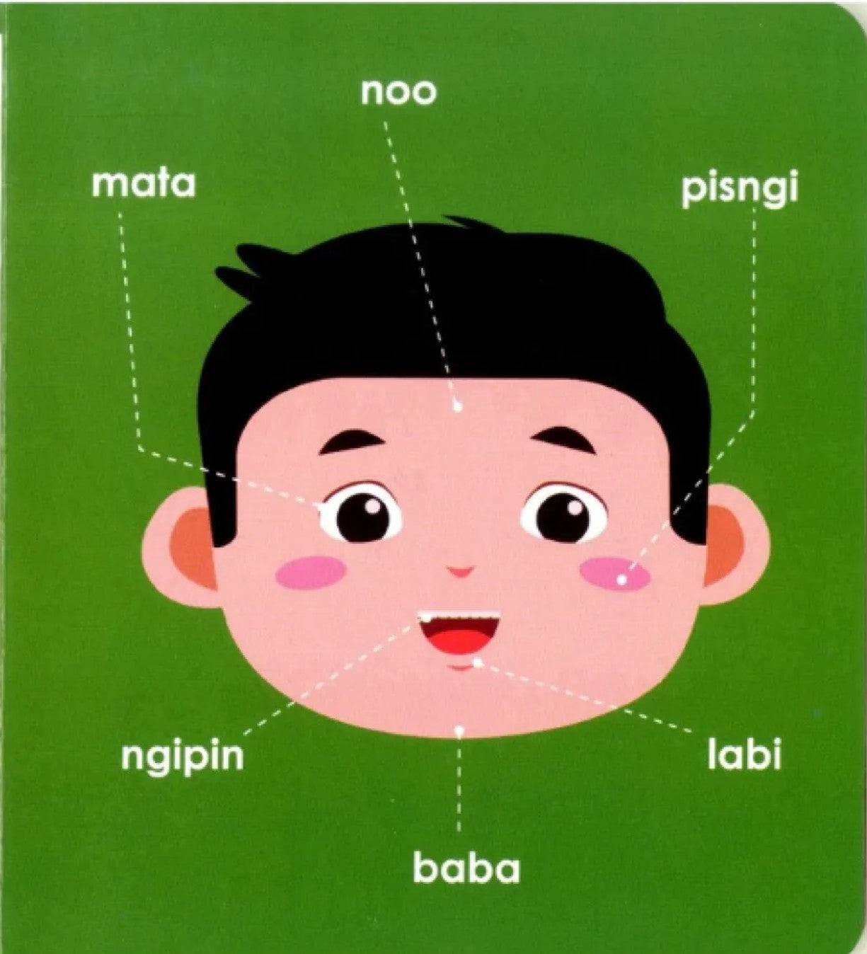 Picture Board Book - Bahagi ng Katawan