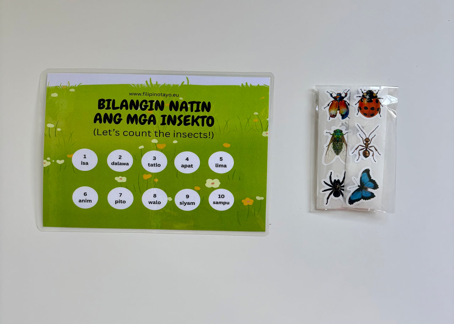 Tagu-Taguan - Insect Counting Activity Set