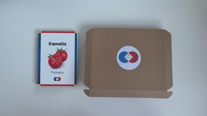 Bahay Kubo - Vegetable Learning Activity Set